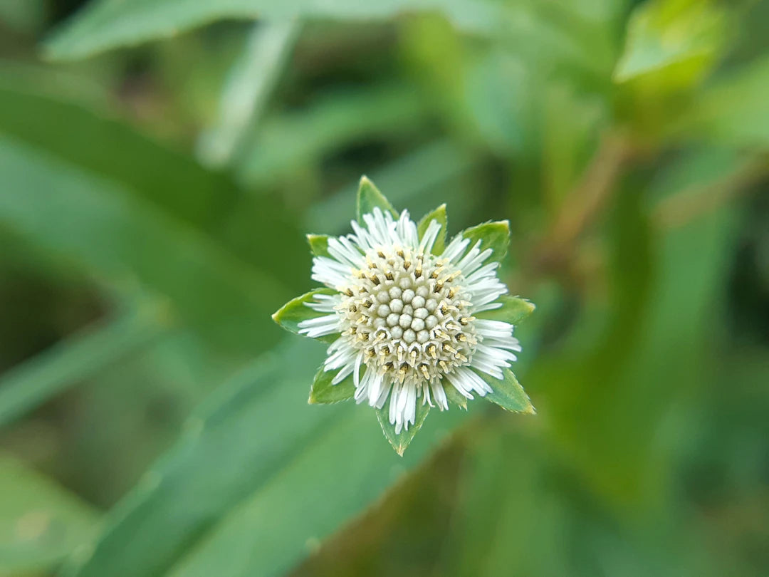 Unlocking Radiance: Holistic Health Practices Beyond Supplements