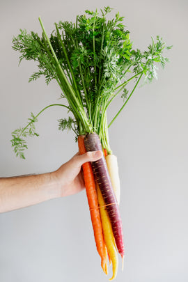 hand-holds-rainbow-carrots - BioTurmric